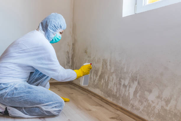 Mold Remediation specialist working in Kinzers