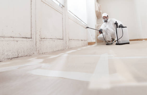 Black mold remediation team in Kinzers